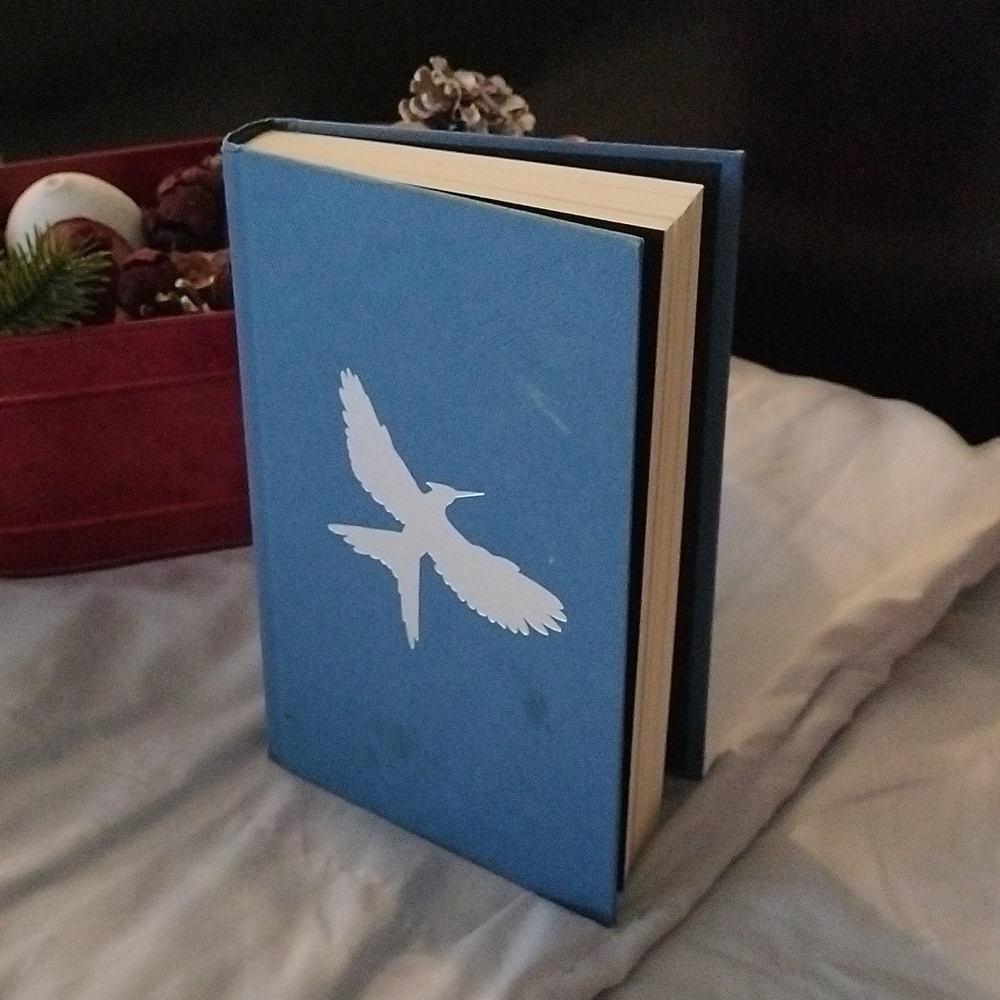 ⚜️ Catching Fire & Mockingjay - Picture 3 of 12